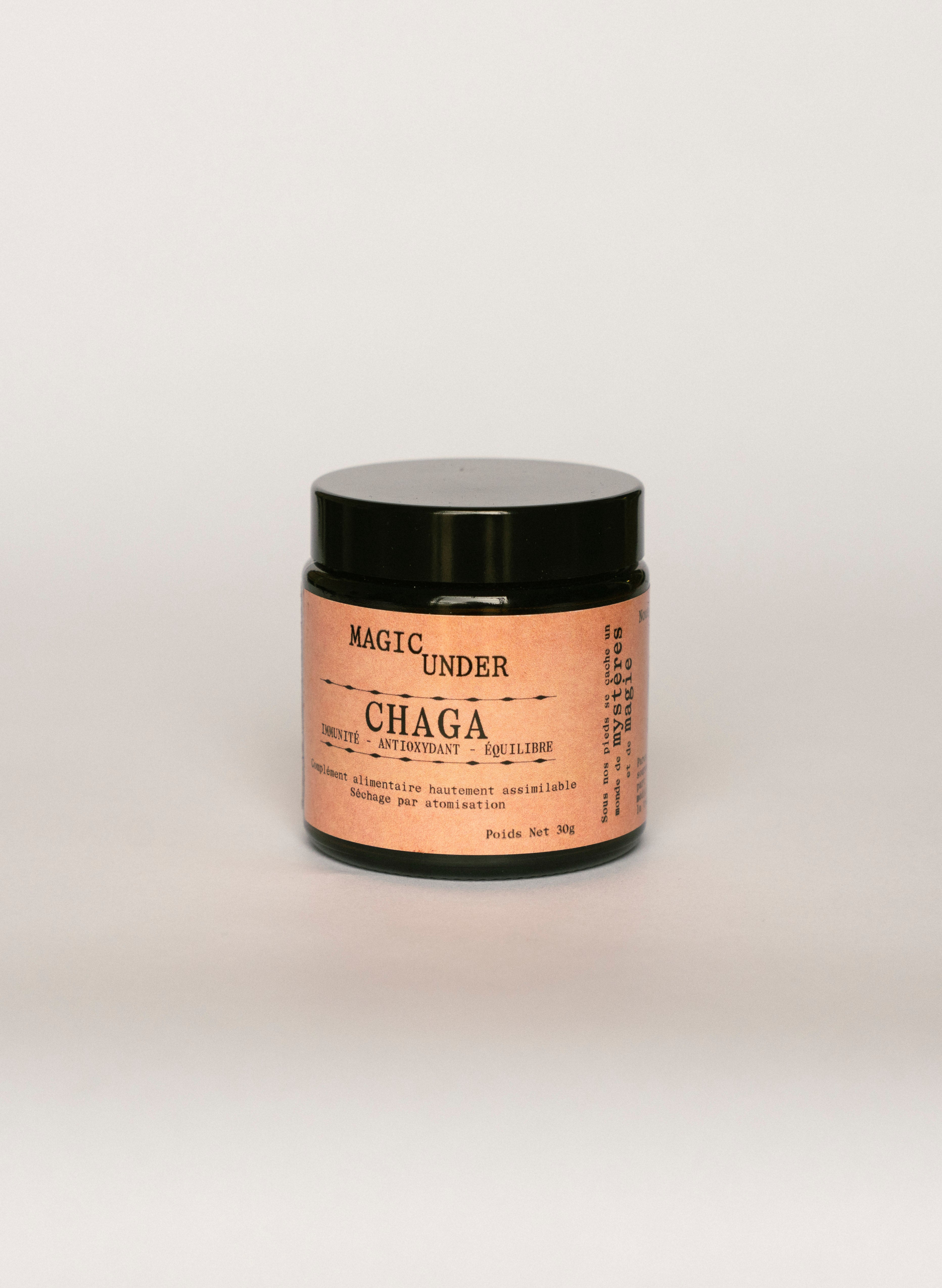 Chaga - Extrait en Poudre