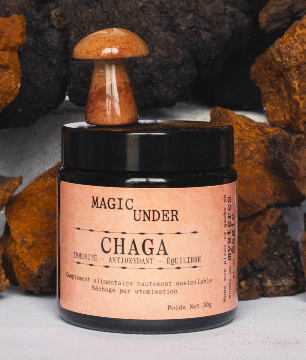 Chaga - Extrait en Poudre