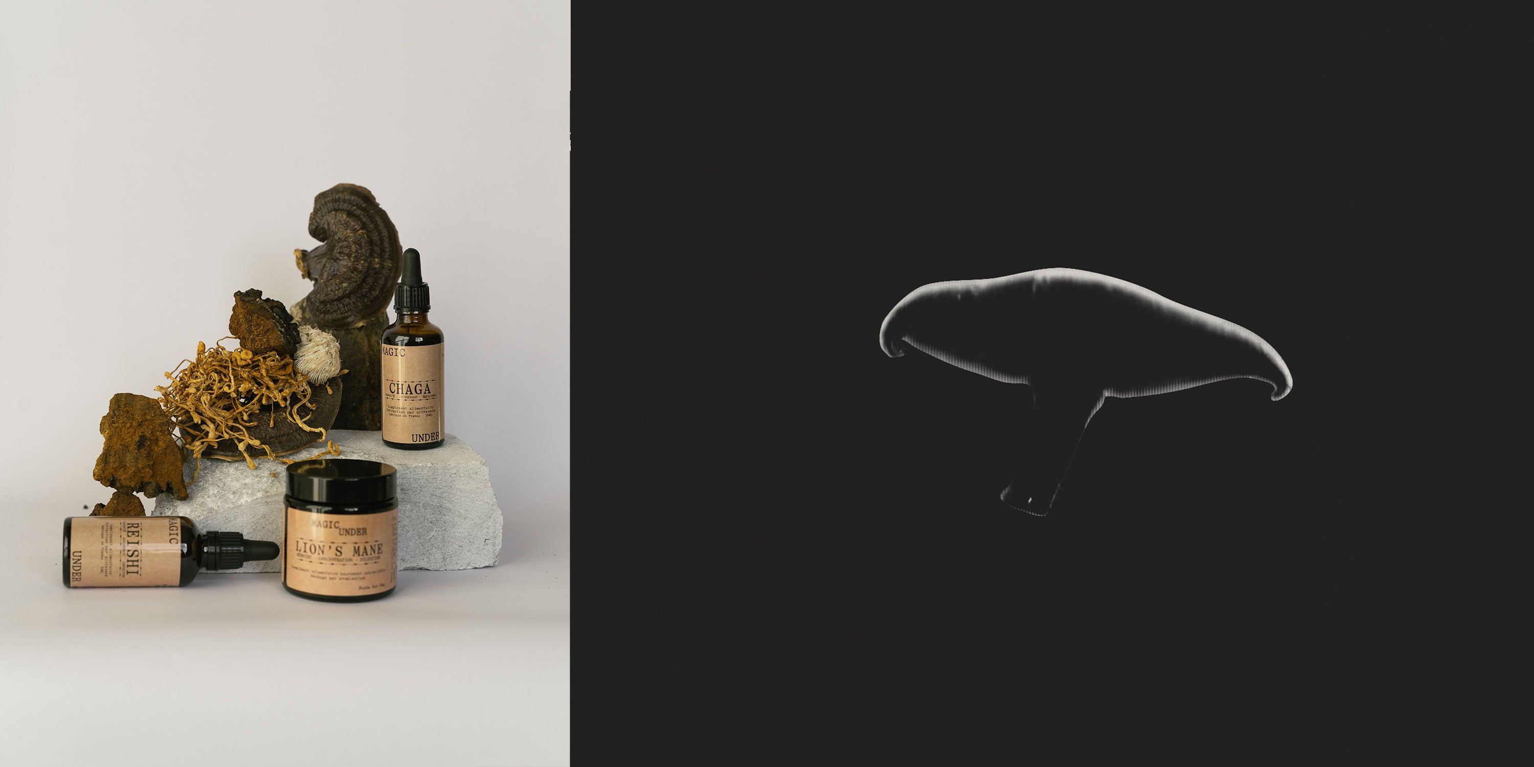 Produit Magic Under et Shiitake sur fond noir
