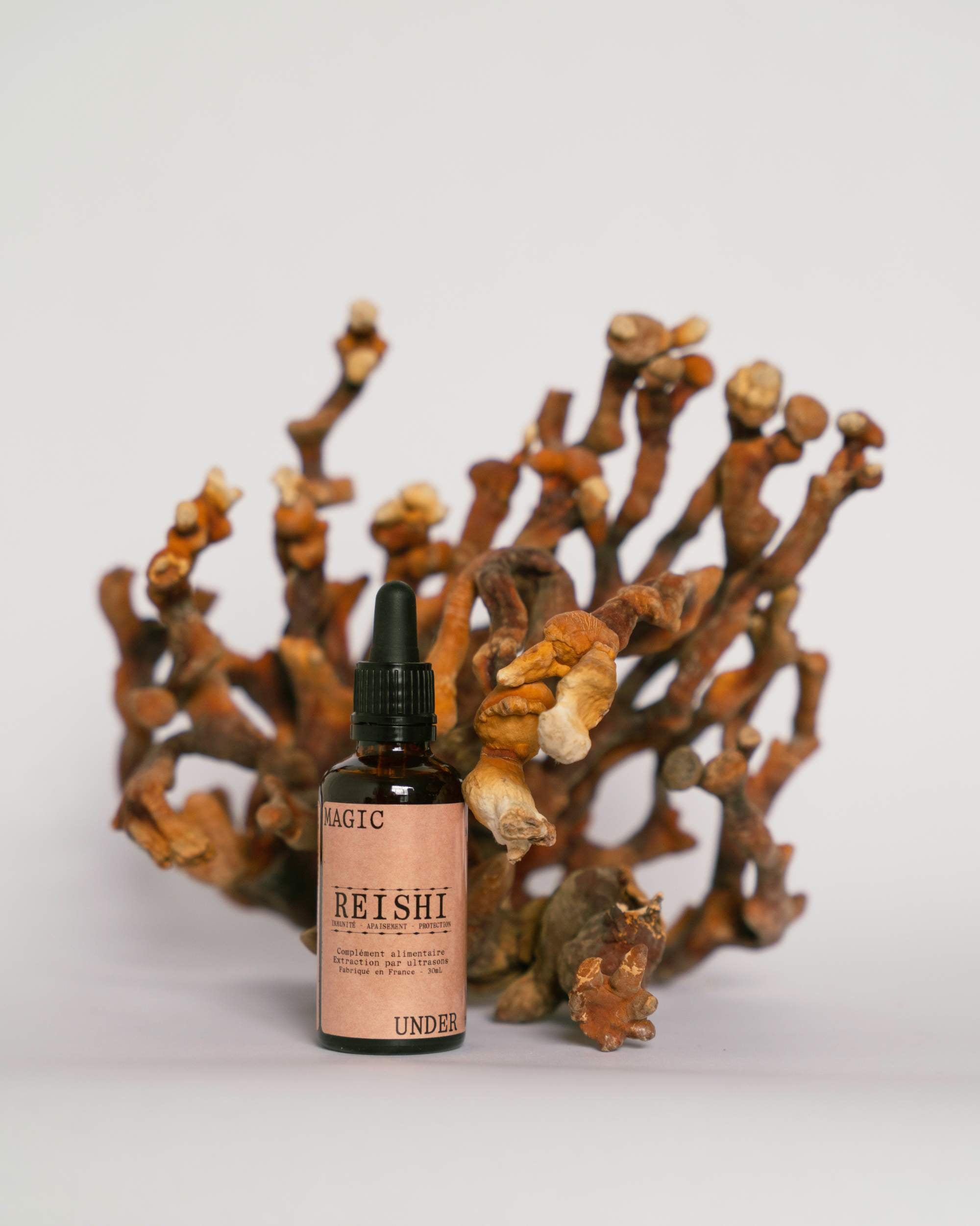 Reishi | 50ml
