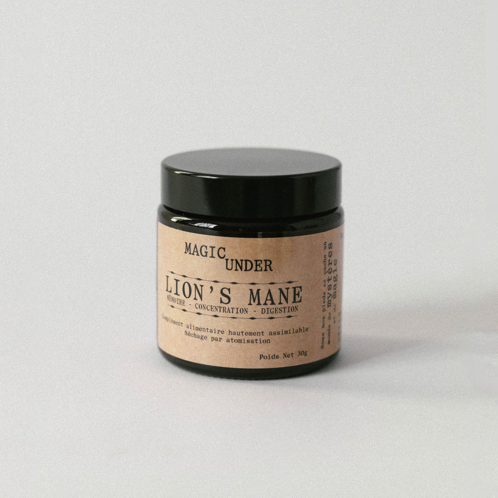 Lion's Mane - Extrait en Poudre