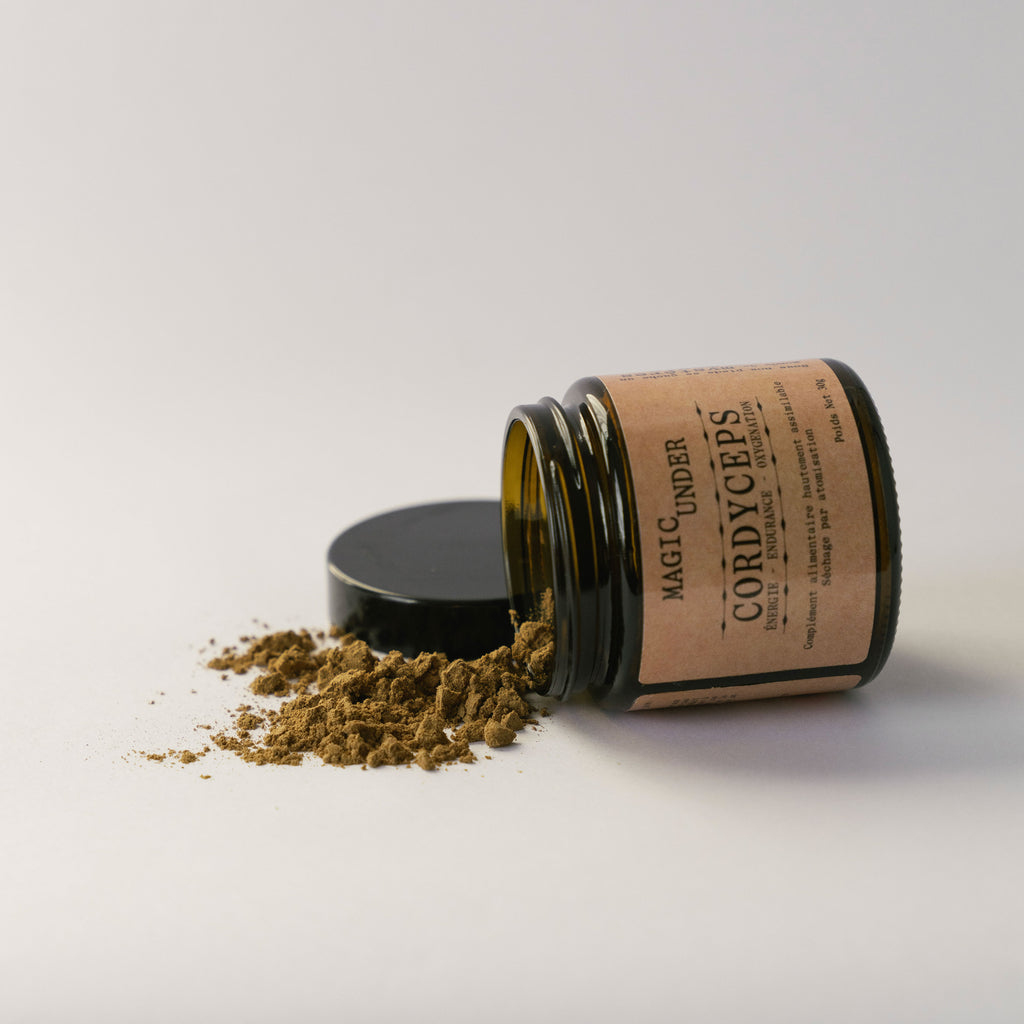 Cordyceps - Extrait en Poudre