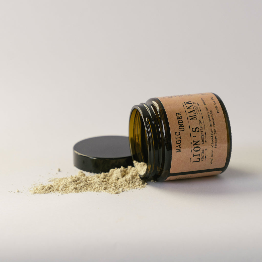 Lion's Mane - Extrait en Poudre