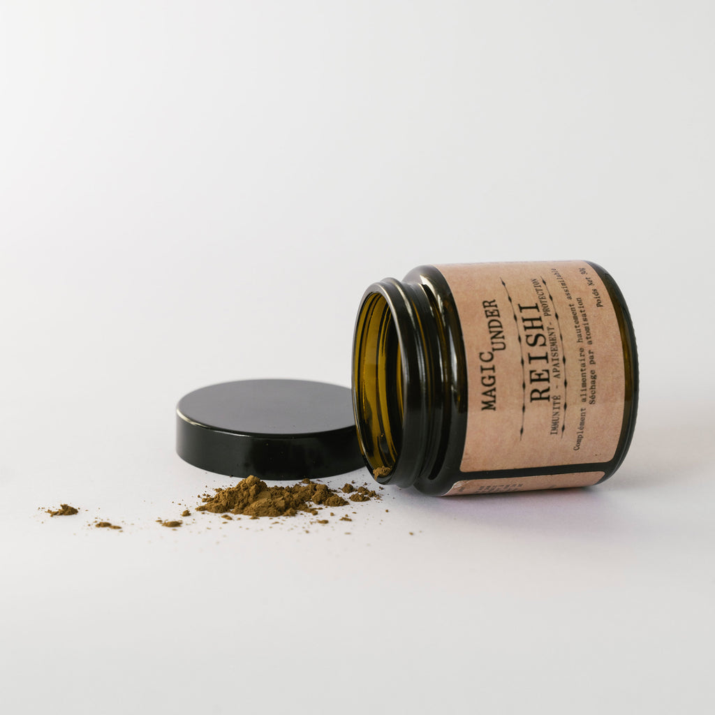 Chaga - Extrait en Poudre