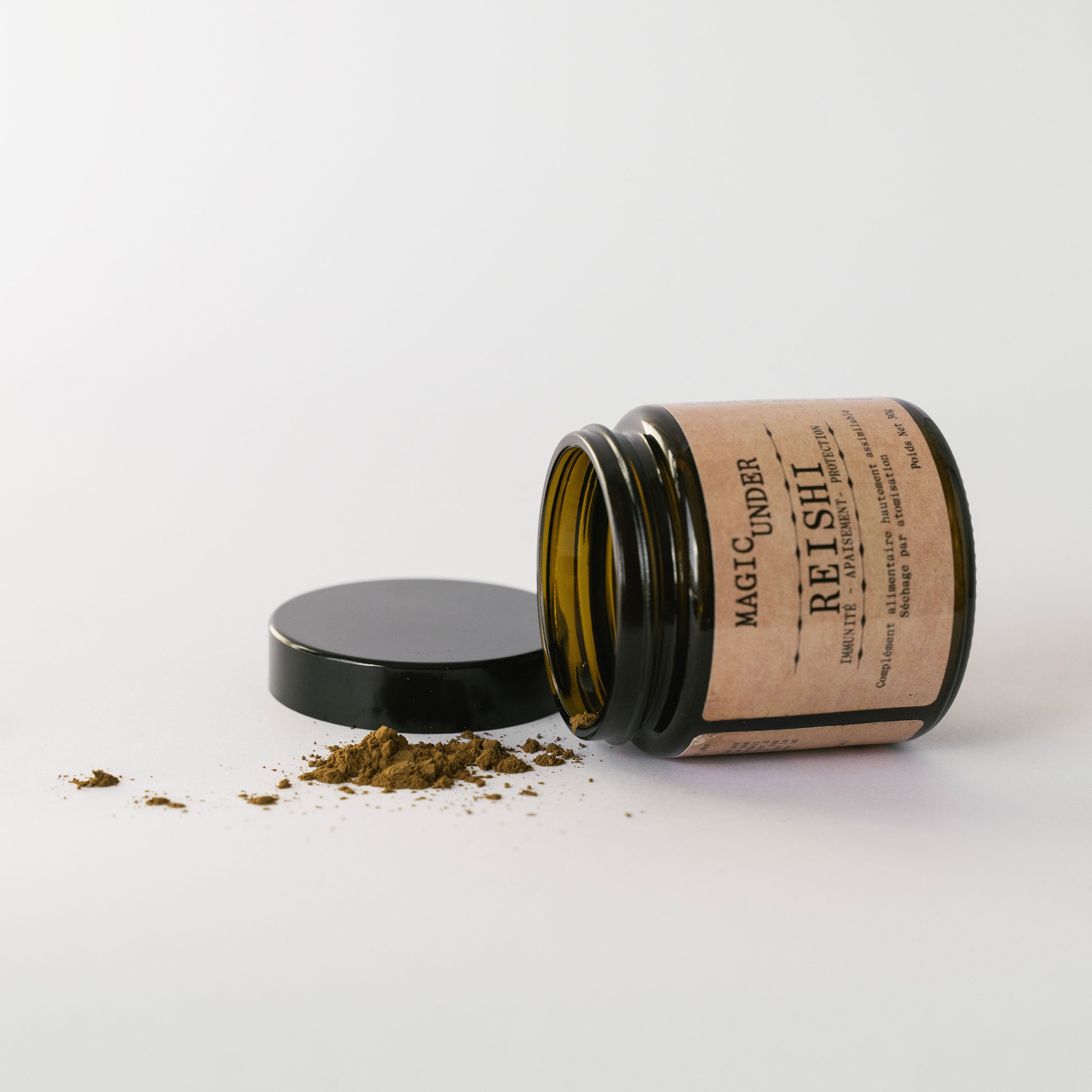 Chaga - Extrait en Poudre